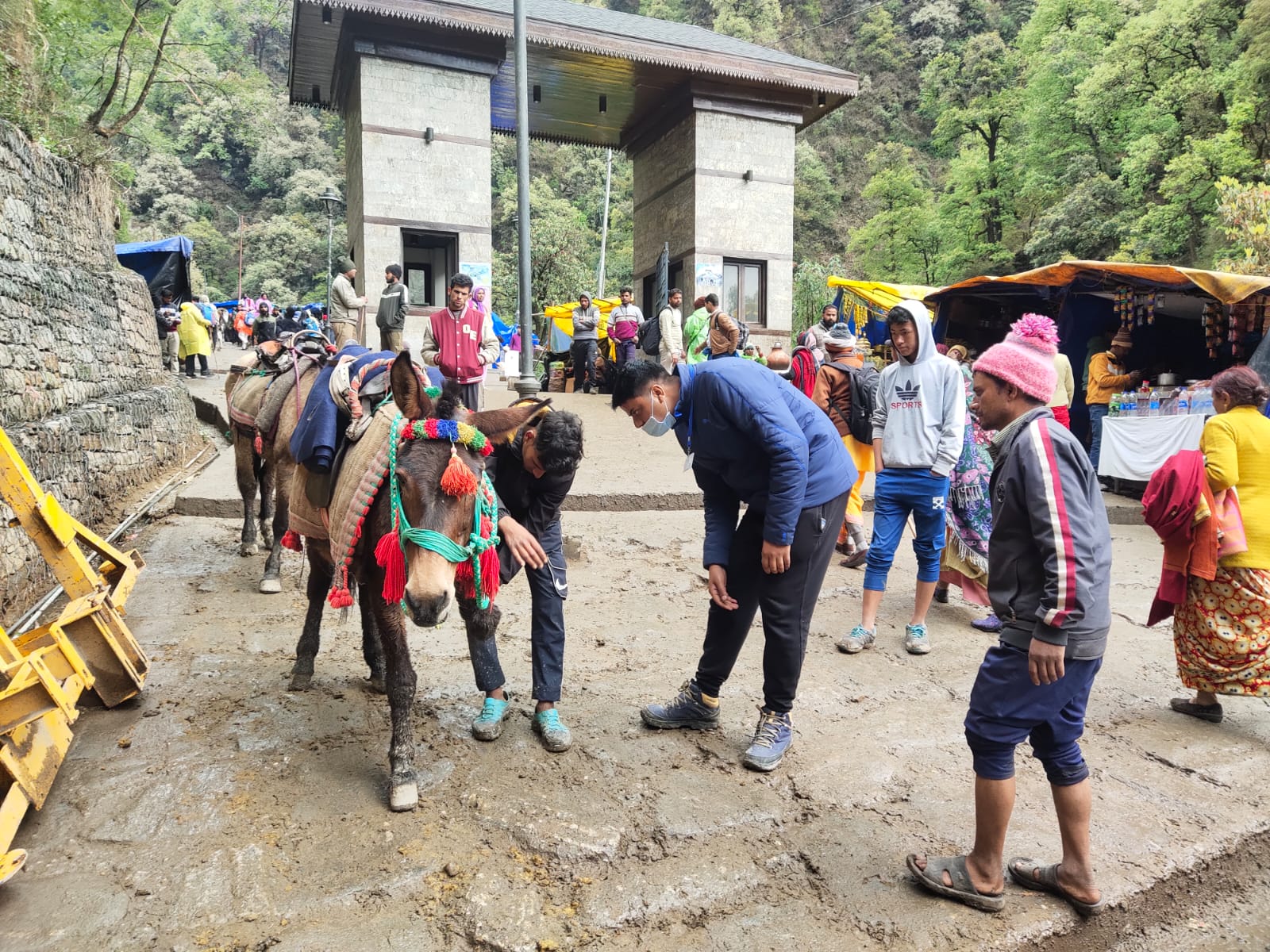 डीएम मयूर दीक्षित के सख्त निर्देश : केदारनाथ यात्रा मार्ग में संचालित होने वाले घोड़े-खच्चरों के साथ किसी प्रकार की कोई क्रूरता न हो व बीमार एवं कमजोर घोड़े-खच्चरों का संचालन यात्रा मार्ग में न हो..