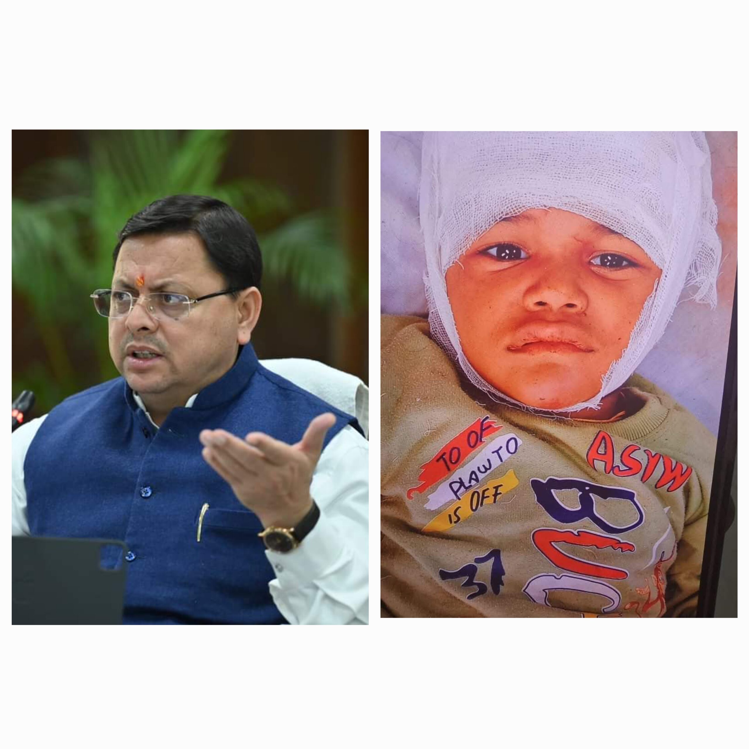 एक मुख्यसेवक और परिवार के सदस्य के रूप में, मैं इस पीड़ा को समझता हूं:धामी