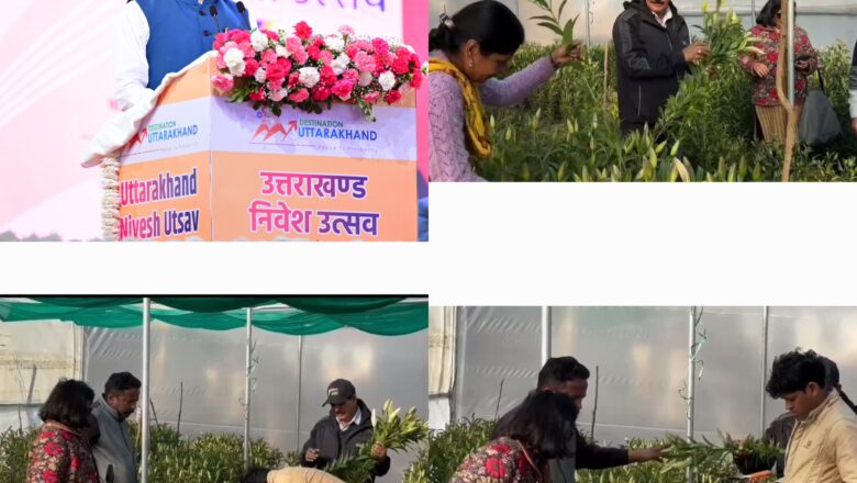 उद्यान विभाग, ग्रामोत्थान परियोजना और एनएचएलएम के सहयोग से कोट ब्लॉक में 22 पॉली हाउस स्थापित, मुख्यमंत्री धामी ने बताया महिला सशक्तिकरण की अनूठी पहल   