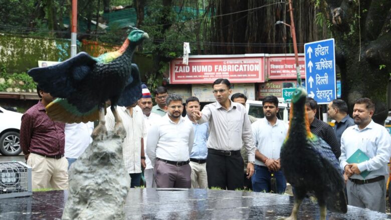 डीएम सविन बंसल के निरीक्षण में अधिकारियों को 1 सप्ताह में शेष कार्य पूर्ण करने के निर्देश