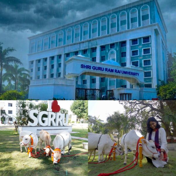 श्री गुरु राम राय विश्वविद्यालय में पहुंची दुनिया की सबसे छोटी नस्ल की नैनो गाय, सीमित जगह और कम चारे में गोपालन की संभावनाओं पर एसजीआरआर विश्वविद्यालय करेगा शोध